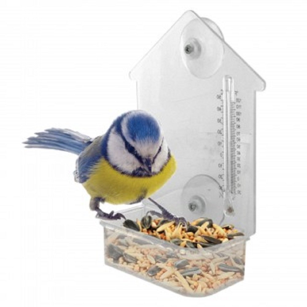 Window Bird Feeder with Thermometer